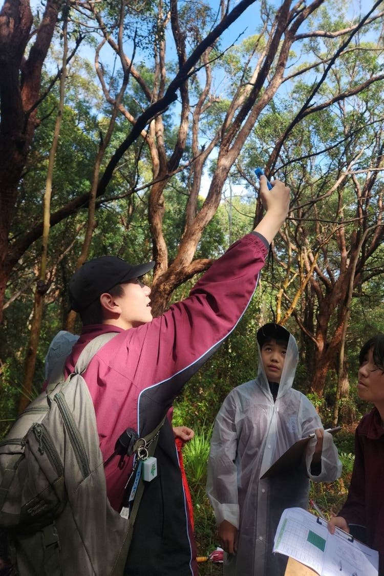 Student taking photos in the bush